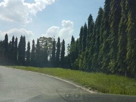  Grundstück zu verkaufen in Binan City, Calabarzon, Binan City