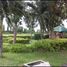  Grundstück zu verkaufen in Binan City, Calabarzon, Binan City