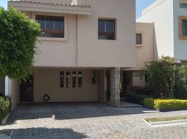 Maison 3 chambre à vendre à Ocoyucan, Puebla, Ocoyucan