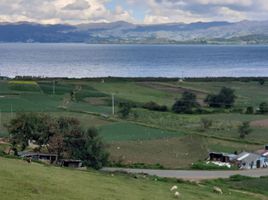  Terreno (Parcela) en venta en Tota, Boyaca, Tota