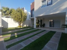 3 Schlafzimmer Villa zu verkaufen in Irapuato, Guanajuato, Irapuato