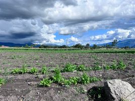  Grundstück zu verkaufen in Catamayo, Loja, Catamayo La Toma