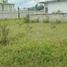  Land for sale in Cuautla, Morelos, Cuautla