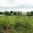  Land for sale in Cuautla, Morelos, Cuautla