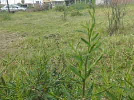  Land for sale in Cuautla, Morelos, Cuautla