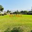  Land for rent in Pachacamac, Lima, Pachacamac, Lima, Lima