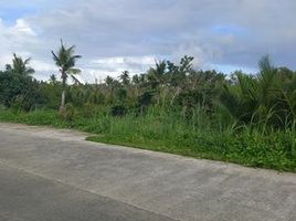  Land for sale in Surigao del Norte, Caraga, Del Carmen, Surigao del Norte