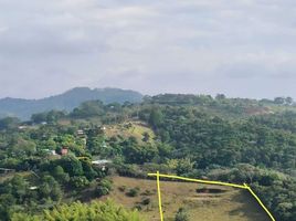  Land for sale in Cali, Valle Del Cauca, Cali