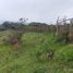  Land for sale in Cali, Valle Del Cauca, Cali