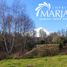  Terreno (Parcela) en venta en Araucanía, Villarrica, Cautín, Araucanía