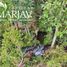  Terreno (Parcela) en venta en Araucanía, Villarrica, Cautín, Araucanía