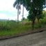  Land for sale in Liloan, Cebu, Liloan