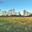  Land for sale in Nuble, Chillan, Diguillin, Nuble