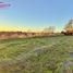  Land for sale in Nuble, Chillan, Diguillin, Nuble