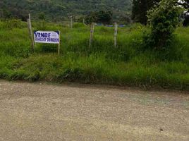  Terreno (Parcela) en venta en Tulua, Valle Del Cauca, Tulua