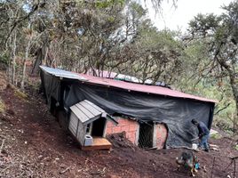  Grundstück zu verkaufen in Gachancipa, Cundinamarca, Gachancipa