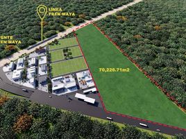  Land for sale in Tixkokob, Yucatan, Tixkokob