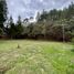  Land for sale in Guarne, Antioquia, Guarne