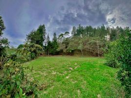  Terreno (Parcela) en venta en Guarne, Antioquia, Guarne