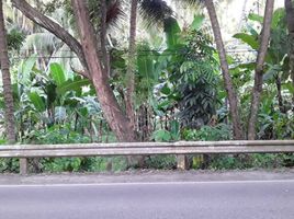  Land for sale in Samboan, Cebu, Samboan