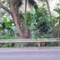  Land for sale in Cebu Central Visayas, Samboan