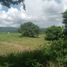  Land for sale in Lumban, Calabarzon, Lumban