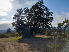  Terreno (Parcela) en venta en Cardenal Caro, Libertador General Bernardo O'Higgins, Paredones, Cardenal Caro