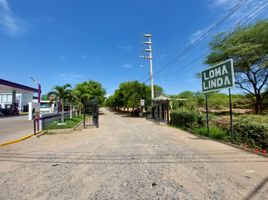  Terrain for sale in Piura, Piura, Piura, Piura