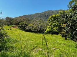  Terreno (Parcela) en venta en San Jeronimo, Antioquia, San Jeronimo