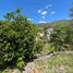  Land for sale in Malacatos Valladolid, Loja, Malacatos Valladolid, Loja, Loja