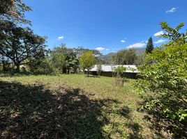  Land for sale in Malacatos Valladolid, Loja, Malacatos Valladolid, Loja, Loja