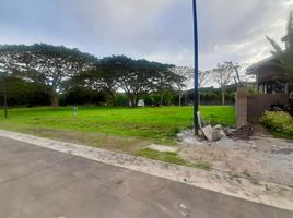  Grundstück zu verkaufen in Calamba City, Calabarzon, Calamba City