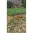  Land for sale in Sacred Valley, Huayllabamba, Urubamba