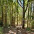  Land for sale in Chile, Valdivia, Valdivia, Los Rios, Chile