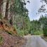  Land for sale in Chile, Valdivia, Valdivia, Los Rios, Chile