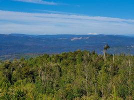  Land for sale in Chile, Valdivia, Valdivia, Los Rios, Chile