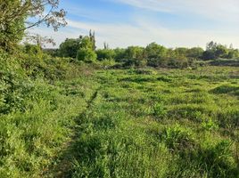  Land for sale in Chile, Maule, Talca, Maule, Chile