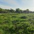  Land for sale in Chile, Maule, Talca, Maule, Chile