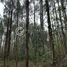  Land for sale in Los Rios, Los Lagos, Valdivia, Los Rios