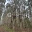  Land for sale in Los Rios, Los Lagos, Valdivia, Los Rios