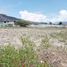  Land for sale in Ecuador, San Antonio, Quito, Pichincha, Ecuador