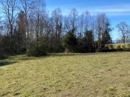  Land for sale in Universidad de la Frontera Campus Pucón, Pucon, Pucon