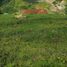  Villa for sale in Angelopolis, Antioquia, Angelopolis