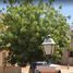 3 Schlafzimmer Haus zu verkaufen in Hermosillo, Sonora, Hermosillo, Sonora