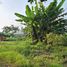  Land for sale in Bandung, West Jawa, Padalarang, Bandung