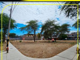  Terreno (Parcela) en venta en Castilla, Piura, Castilla, Piura, Piura