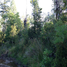  Terrain for sale in Ancud, Chiloe, Ancud