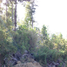  Terrain for sale in Ancud, Chiloe, Ancud