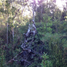  Terrain for sale in Ancud, Chiloe, Ancud