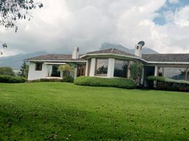 3 Habitación Casa en venta en San Juan De Iluman, Otavalo, San Juan De Iluman